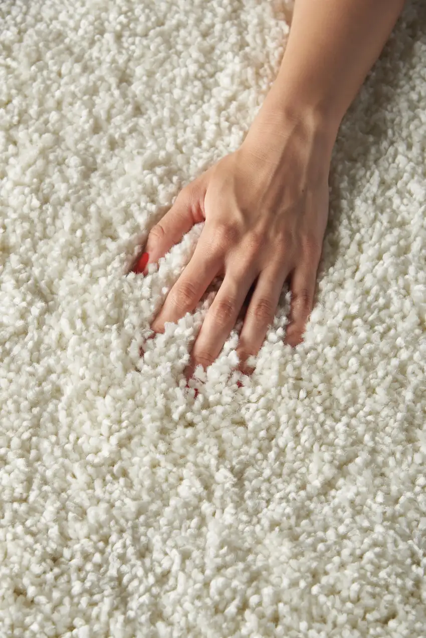 Ivory Shag Area Rug Photo 6