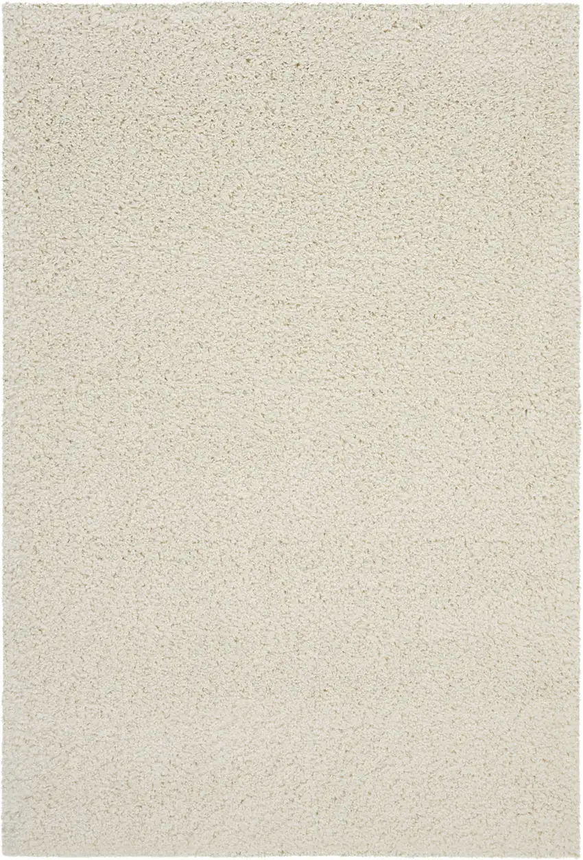 Ivory Shag Area Rug Photo 6