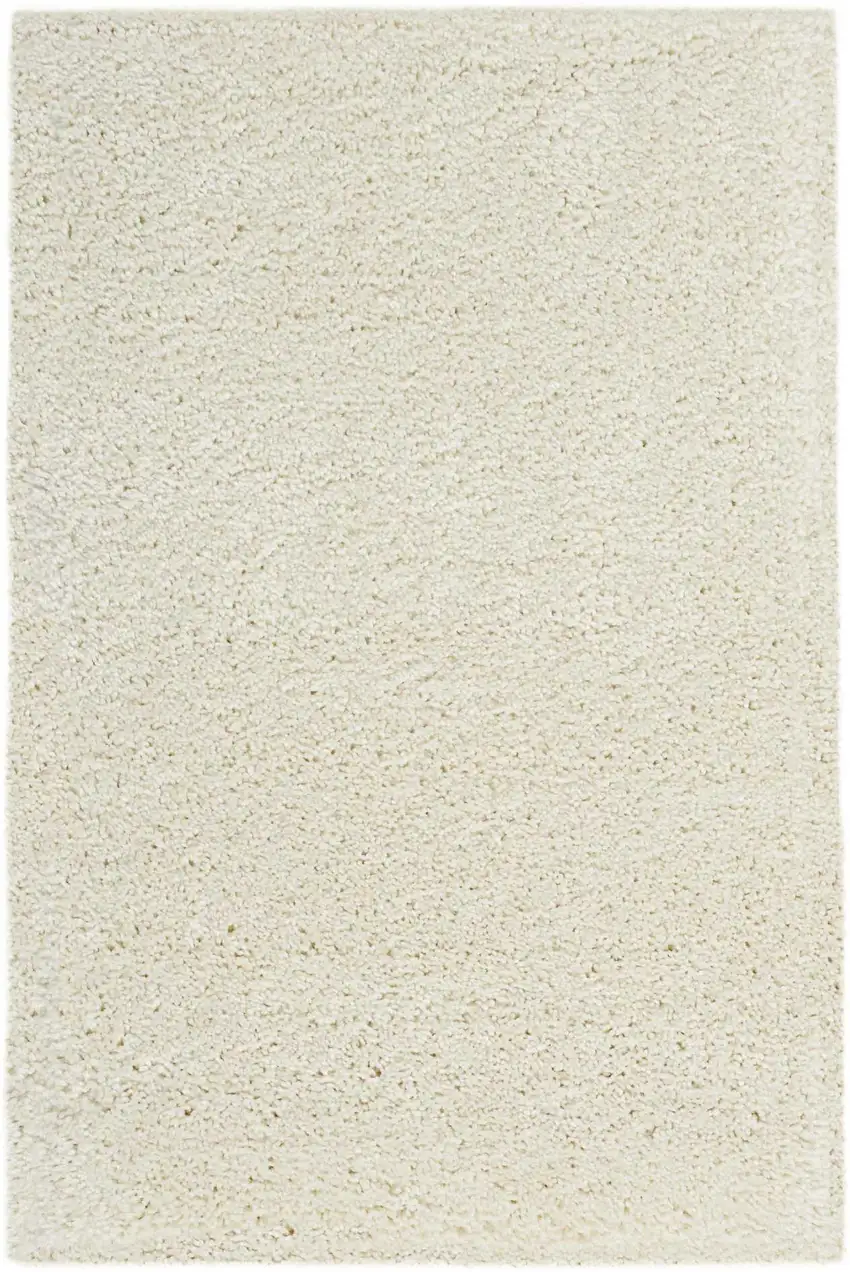 Ivory Shag Distressed Area Rug Photo 4