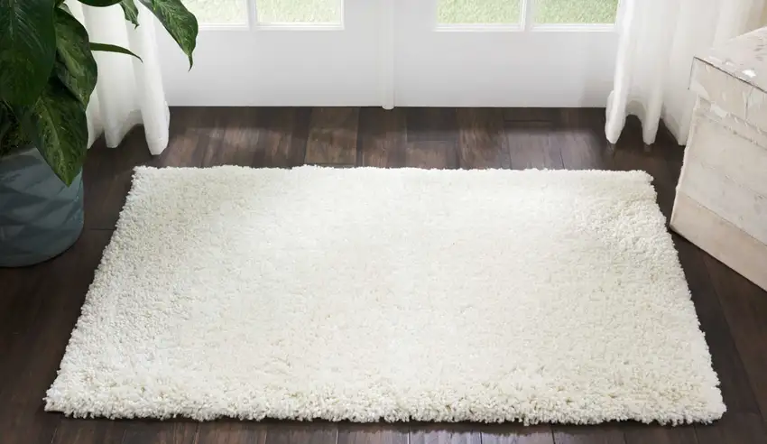 Ivory Shag Distressed Area Rug Photo 8