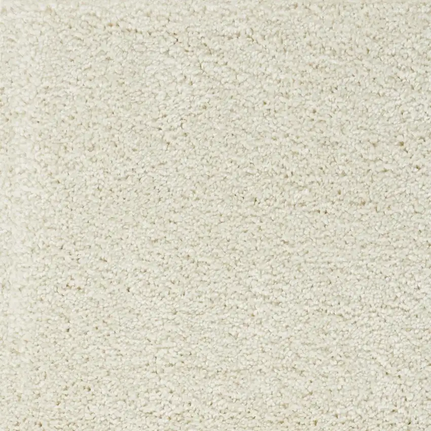 Ivory Shag Distressed Area Rug Photo 3