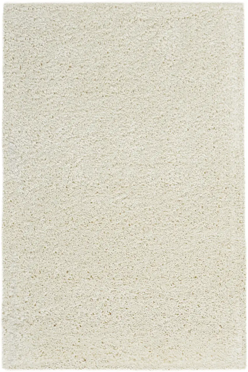 Ivory Shag Distressed Area Rug Photo 4