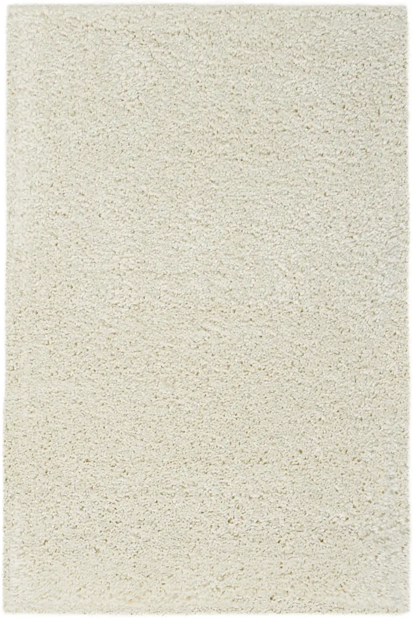 Ivory Shag Distressed Area Rug Photo 2