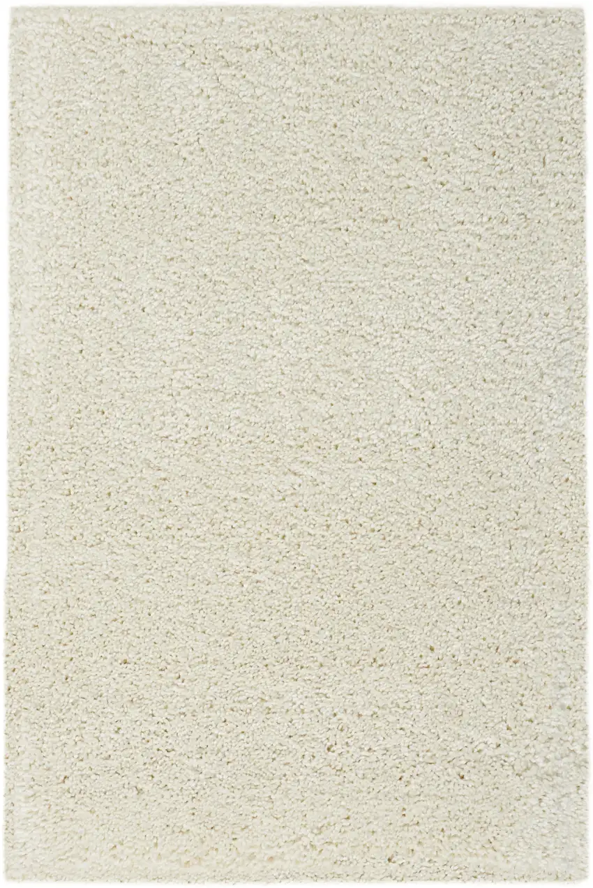 Ivory Shag Distressed Area Rug Photo 1