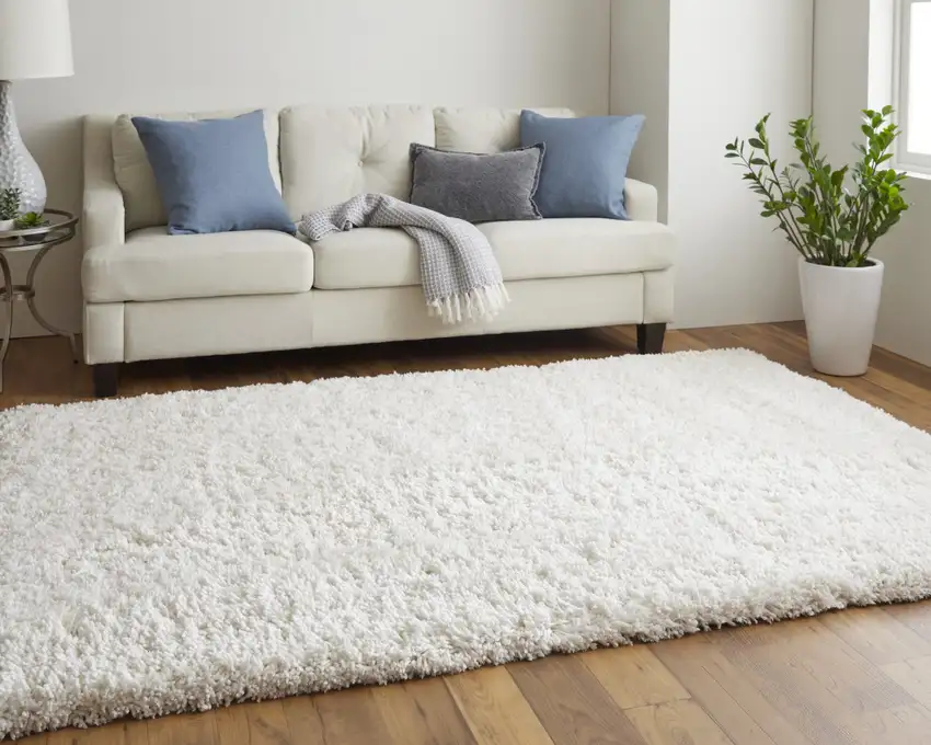 Ivory Shag Hand Tufted Area Rug Photo 8