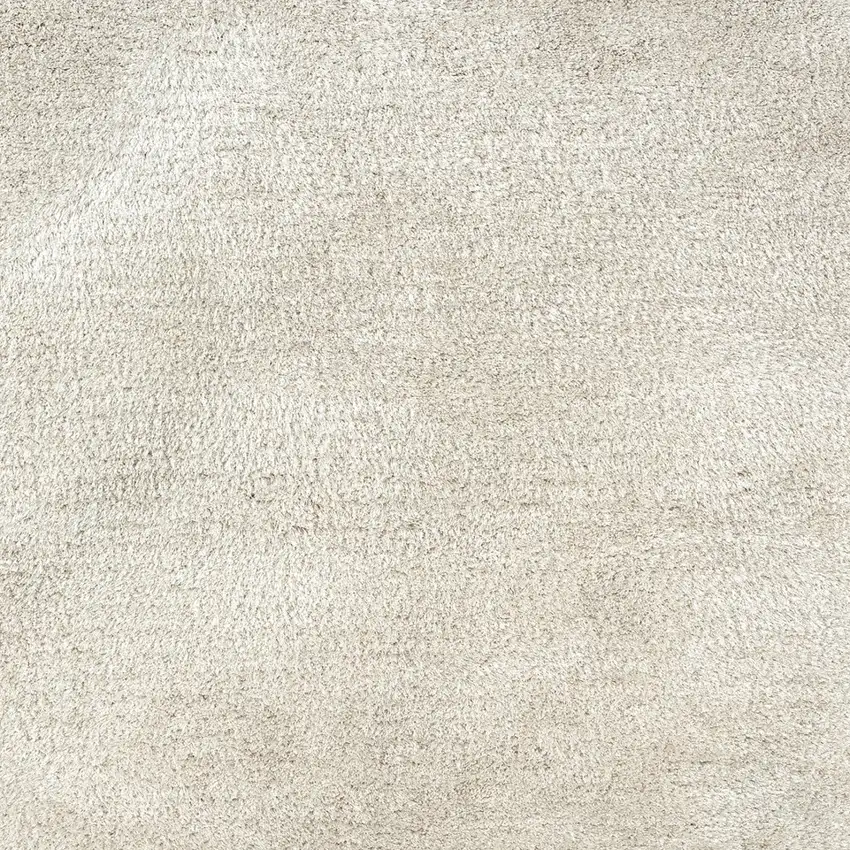 Ivory Shag Hand Tufted Area Rug Photo 5