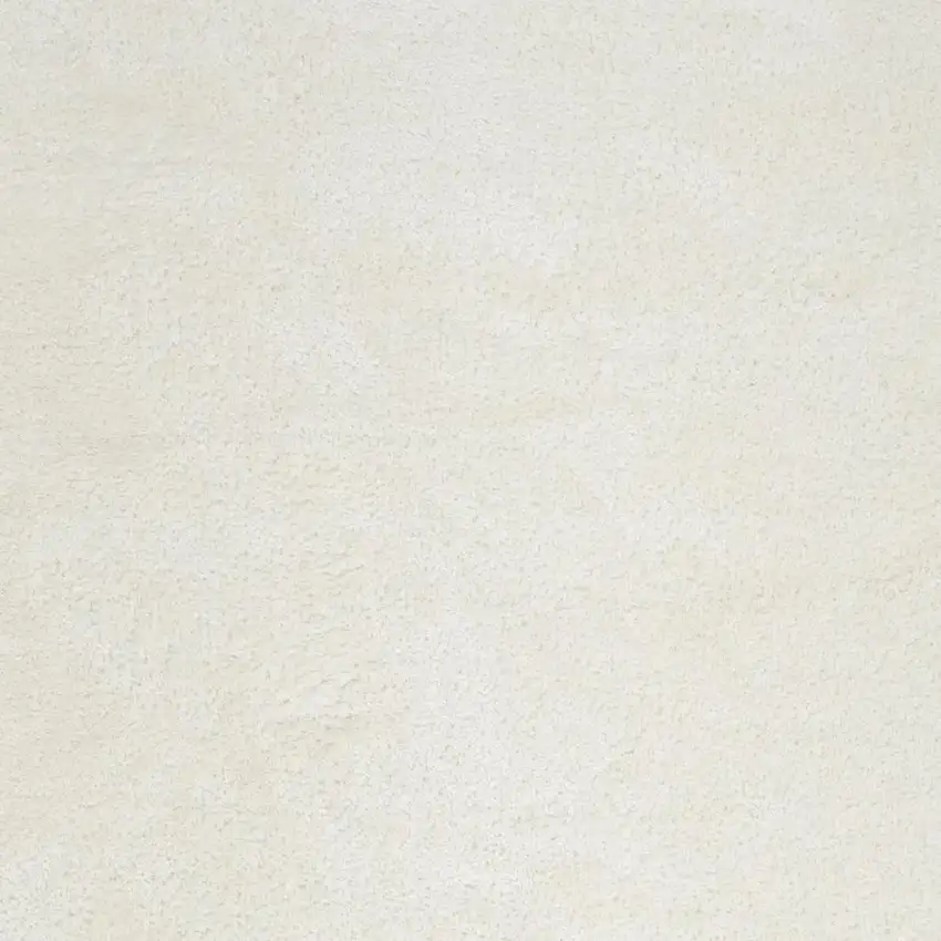 Ivory Shag Area Rug Photo 1