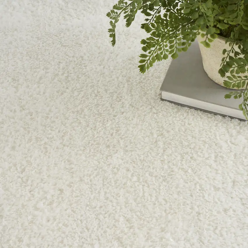 Ivory Shag Area Rug Photo 9