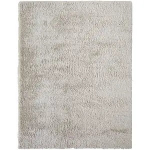 Photo of Ivory Shag Power Loom Stain Resistant Area Rug