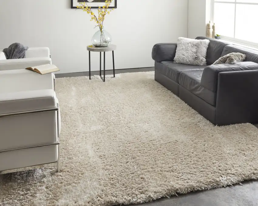 Ivory Shag Power Loom Stain Resistant Area Rug Photo 7