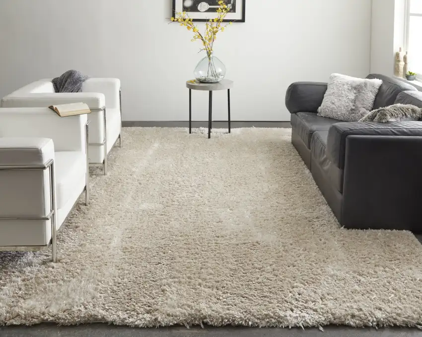 Ivory Shag Power Loom Stain Resistant Area Rug Photo 6