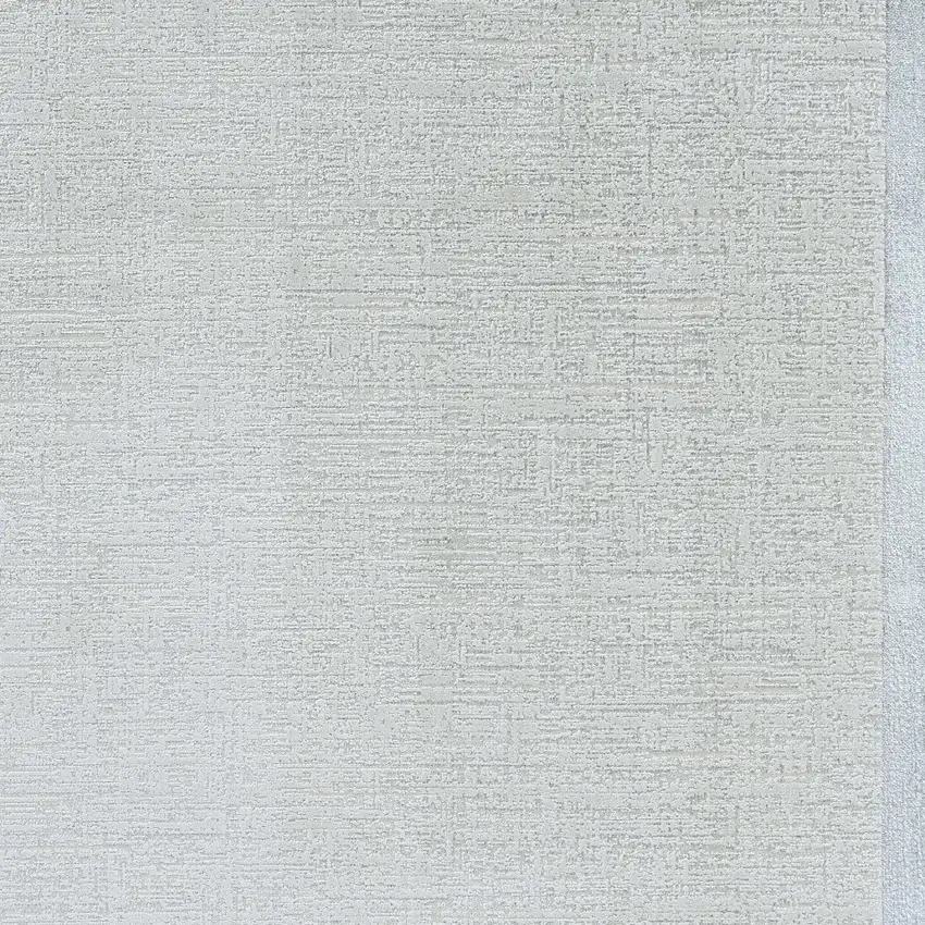 3'X5' Ivory Silver Machine Woven Bordered Indoor Area Rug Photo 3