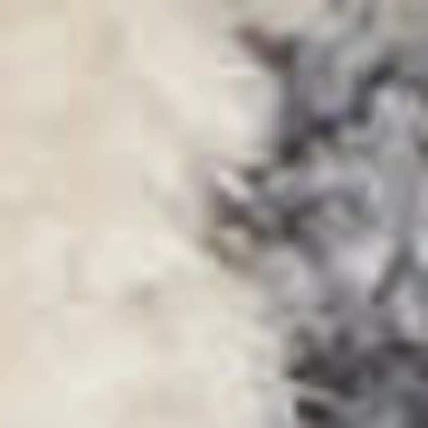 Ivory Tan And Light Blue Floral Distressed Area Rug With Fringe Photo 2