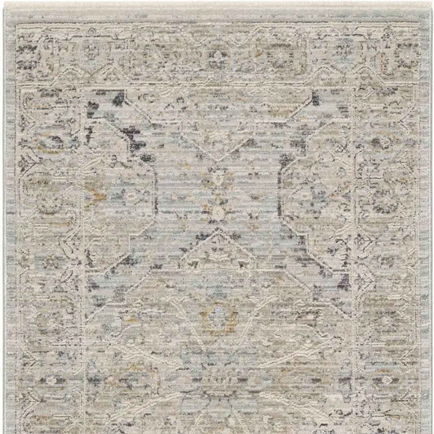 Ivory Tan And Light Blue Oriental Distressed Area Rug With Fringe Photo 6