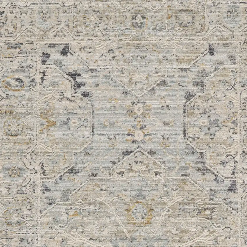 Ivory Tan And Light Blue Oriental Distressed Area Rug With Fringe Photo 5