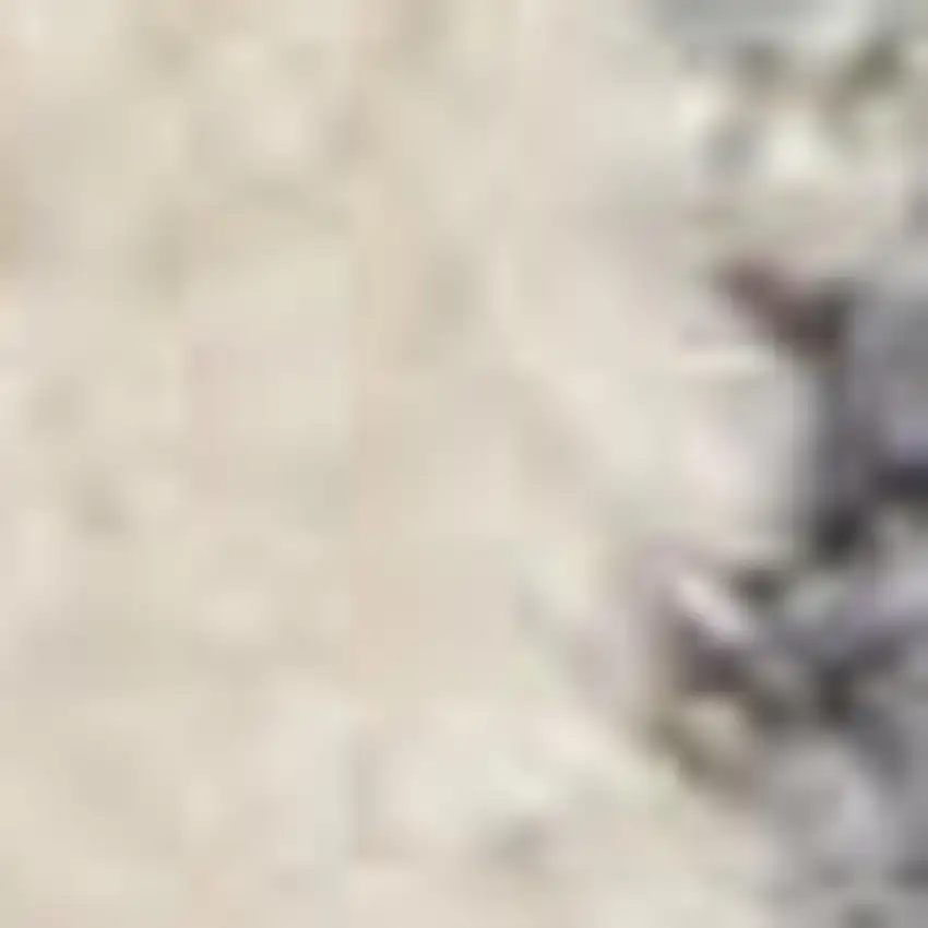 Ivory Tan And Light Blue Oriental Distressed Area Rug With Fringe Photo 2