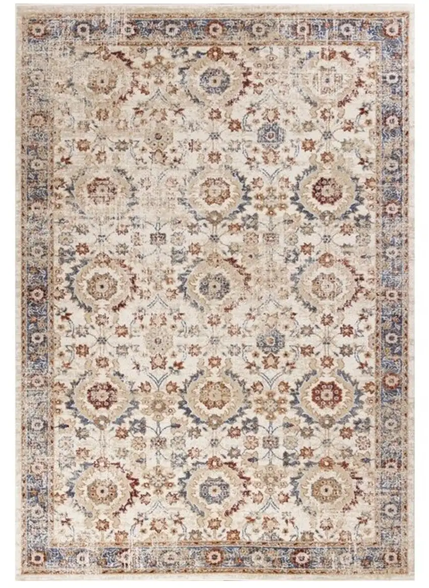 Ivory Vintage Traditional Area Rug Photo 2