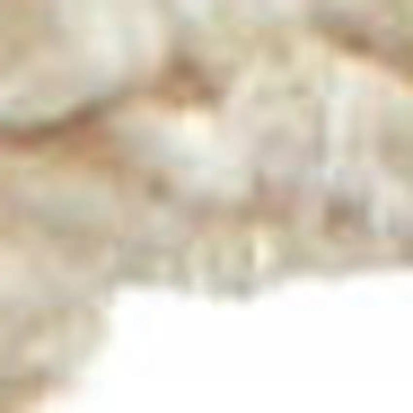 Ivory Wool Geometric Hand Woven Area Rug Photo 8