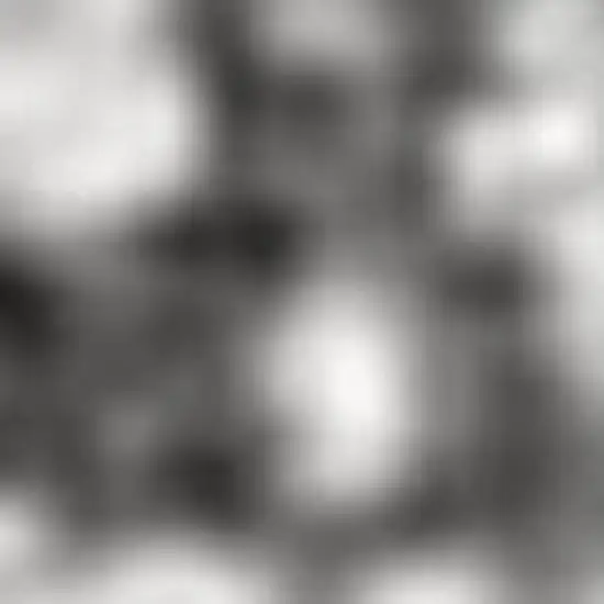 Ivory Gray And Green Wool Floral Hand Tufted Area Rug Photo 2