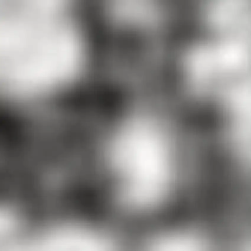 Ivory Gray And Green Wool Floral Hand Tufted Area Rug Photo 2