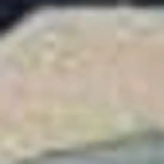 Ivory Blue And Green Wool Tropical Botanical Hand Tufted Area Rug Photo 3