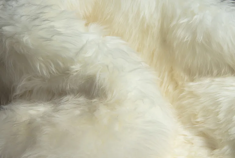 Ivory Wool Sheepskin Handmade Area Rug Photo 5