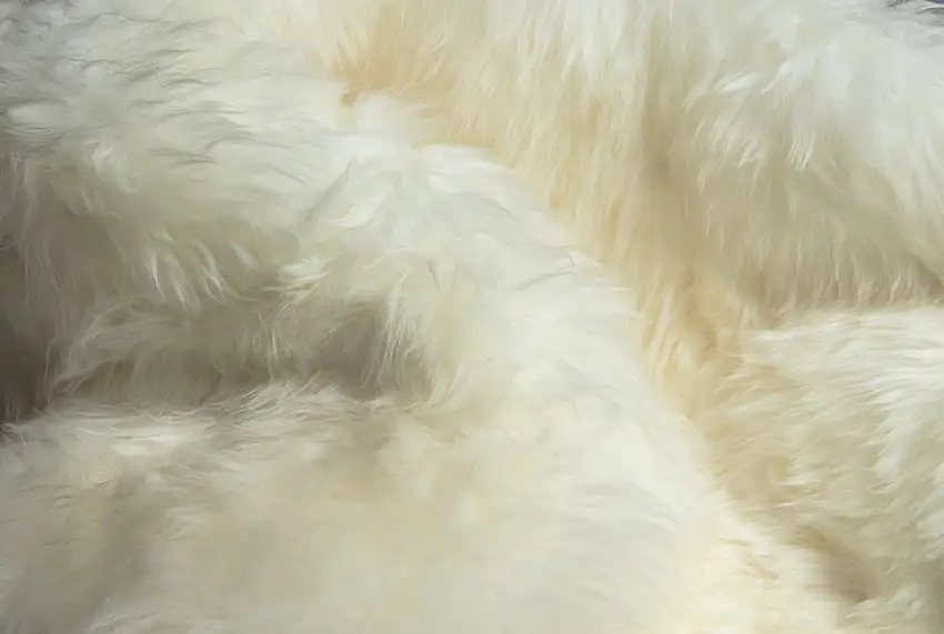 Ivory Wool Sheepskin Handmade Area Rug Photo 6