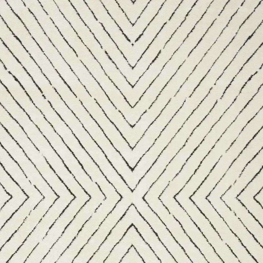 Ivory and Black Abstract Area Rug Photo 6
