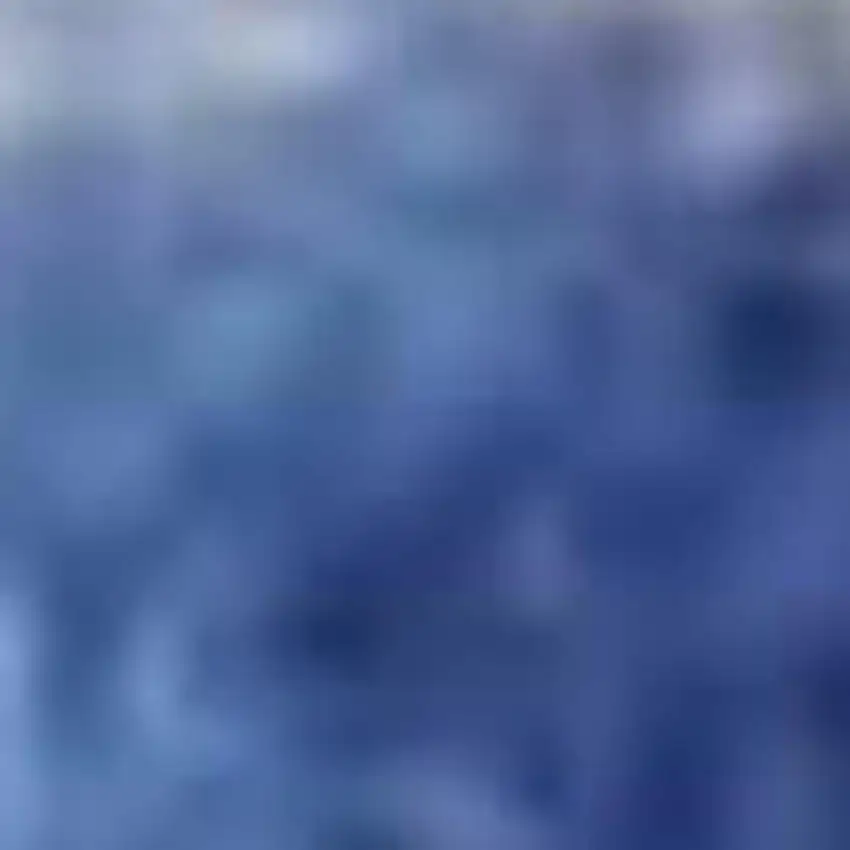 Ivory and Blue Floral Distressed Area Rug Photo 4