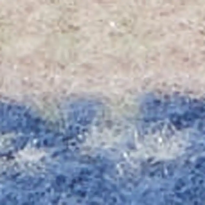 Ivory and Blue Floral Distressed Non Skid Area Rug Photo 3