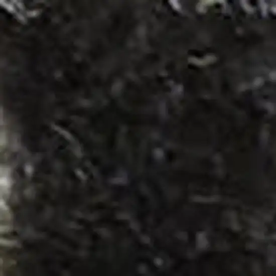 Ivory and Blue Floral Medallion Distressed Non Skid Area Rug Photo 3