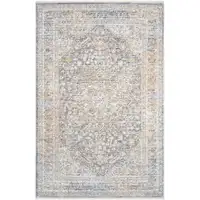 Photo of Ivory and Blue Oriental Power Loom Distressed Area Rug