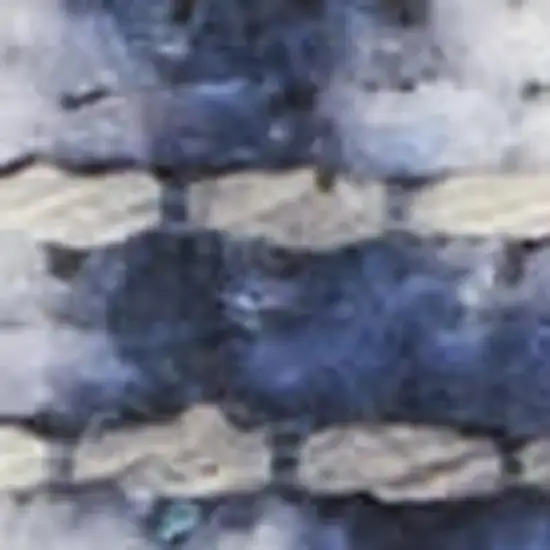 Ivory and Blue Oriental Power Loom Washable Area Rug Photo 3