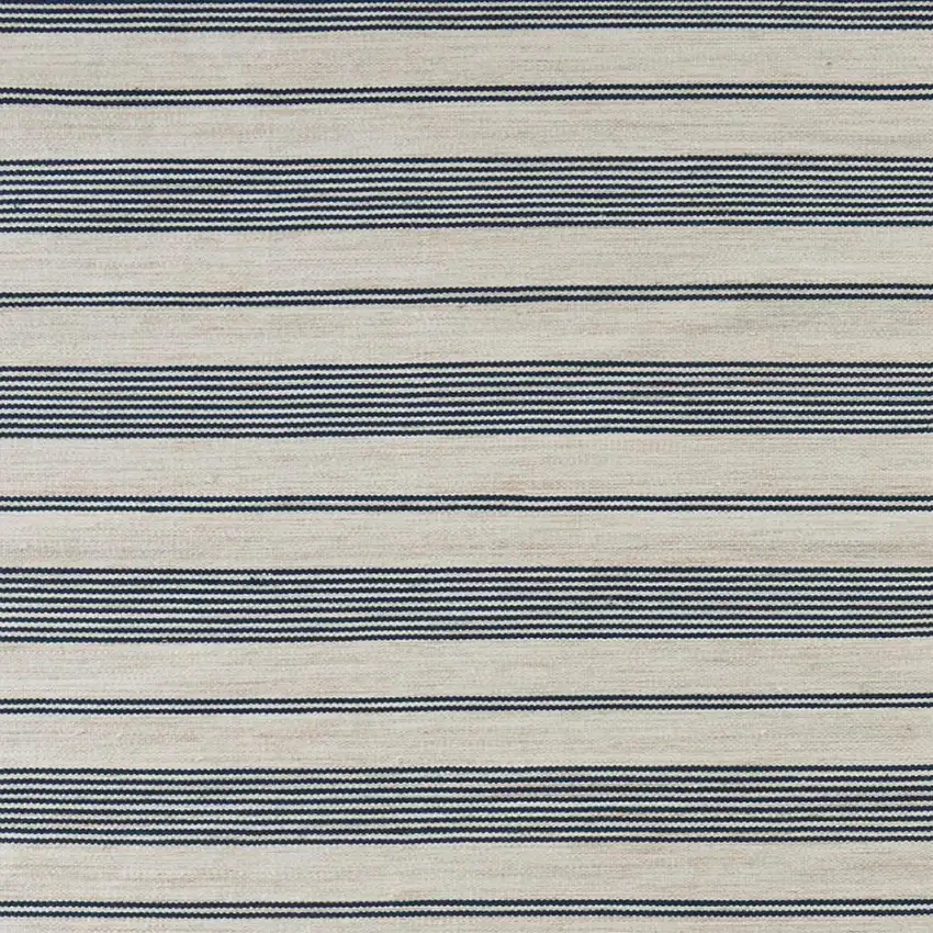 Ivory and Blue Striped Hand Woven Area Rug Photo 2