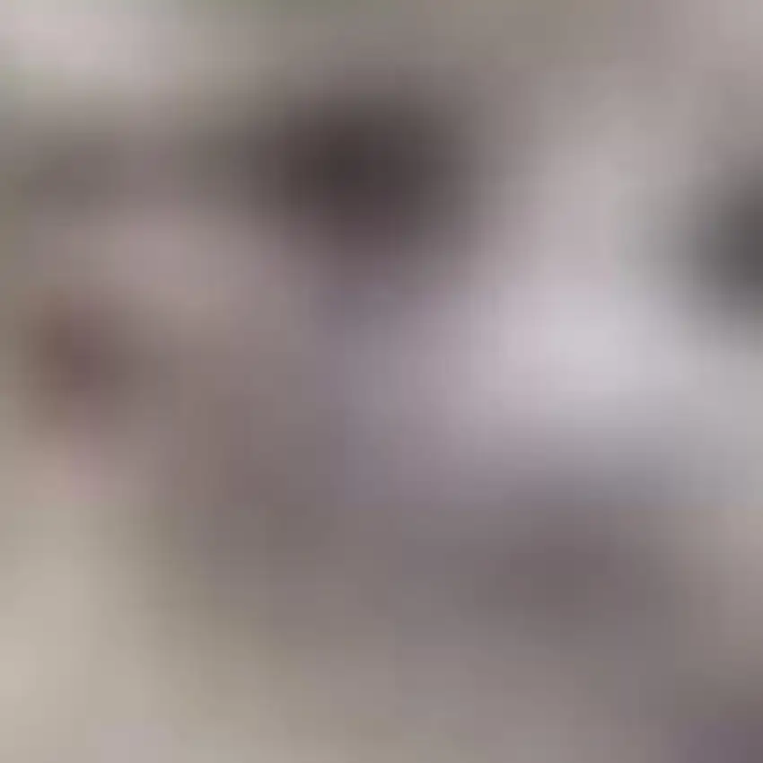 Ivory and Brown Geometric Non Skid Area Rug Photo 3