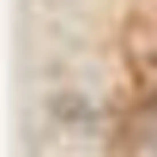 Ivory And Fuchsia Oriental Distressed Area Rug Photo 3