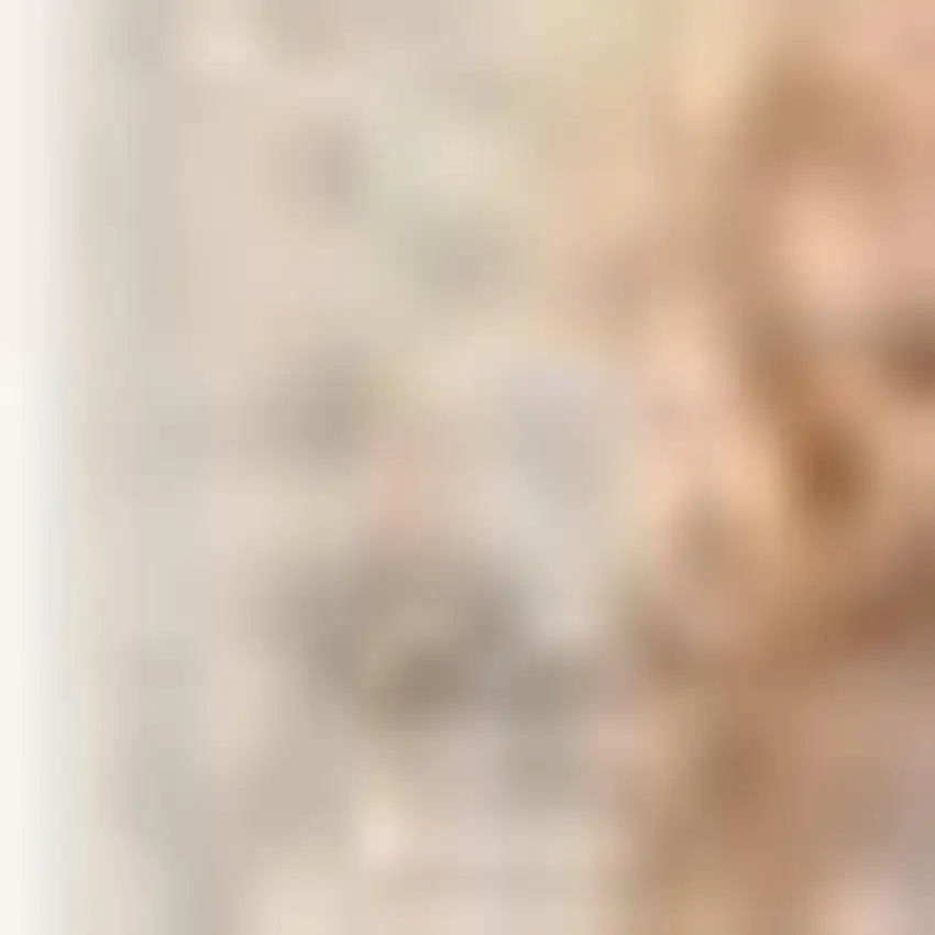 Ivory And Fuchsia Oriental Distressed Area Rug Photo 3