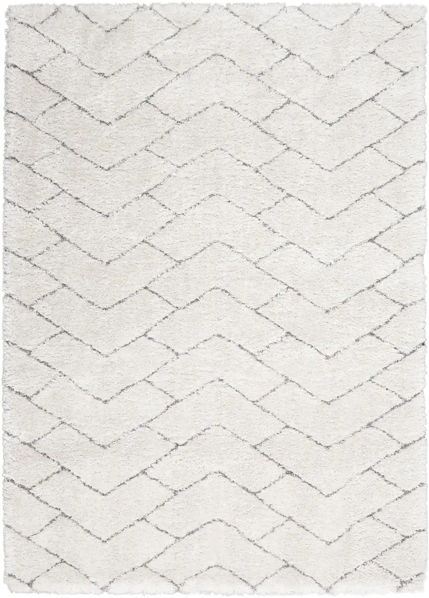 Ivory and Gray Chevron Shag Area Rug Photo 1