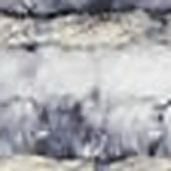 Ivory and Gray Floral Medallion Power Loom Distressed Area Rug Photo 4