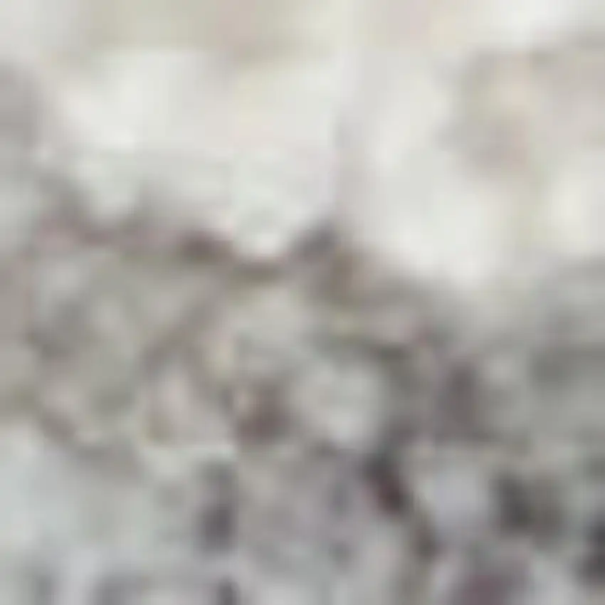 Ivory and Gray Floral Power Loom Area Rug Photo 3