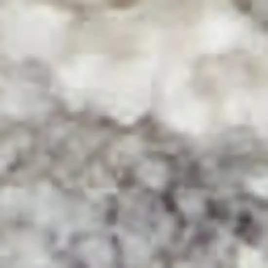 Ivory and Gray Floral Power Loom Area Rug Photo 4