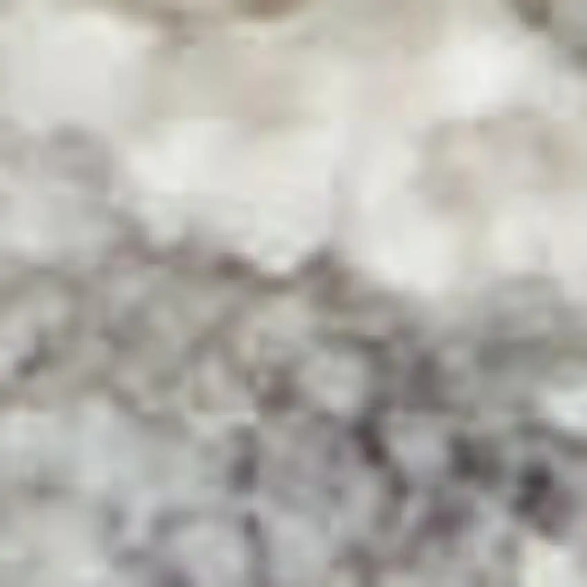 Ivory and Gray Floral Power Loom Area Rug Photo 4