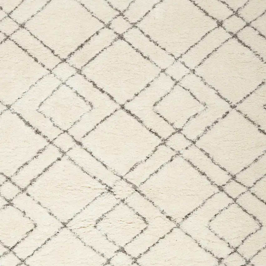 Ivory and Gray Geometric Shag Area Rug Photo 4