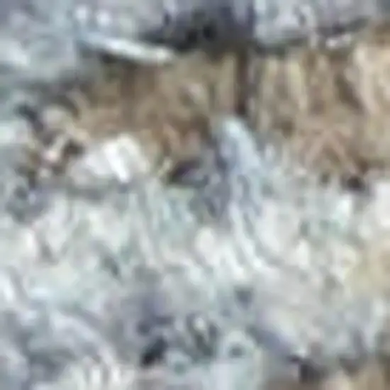 Ivory and Green Floral Power Loom Distressed Area Rug Photo 2