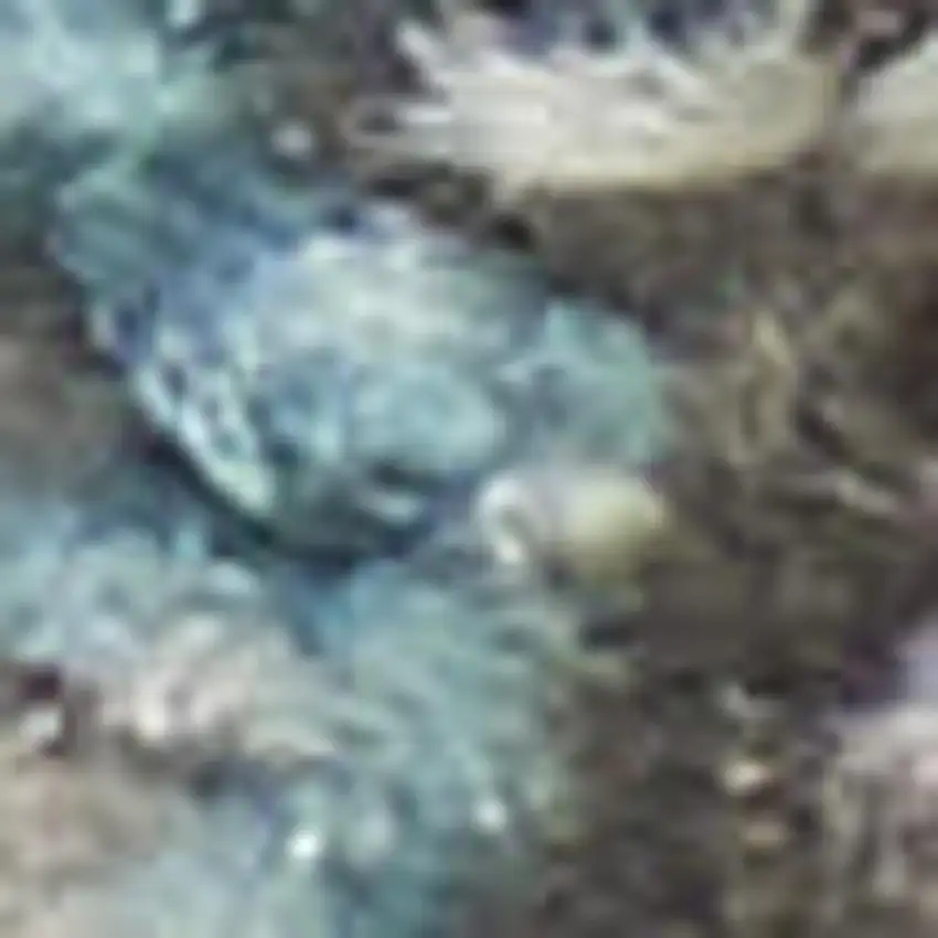 Ivory And Blue Oriental Distressed Area Rug Photo 1