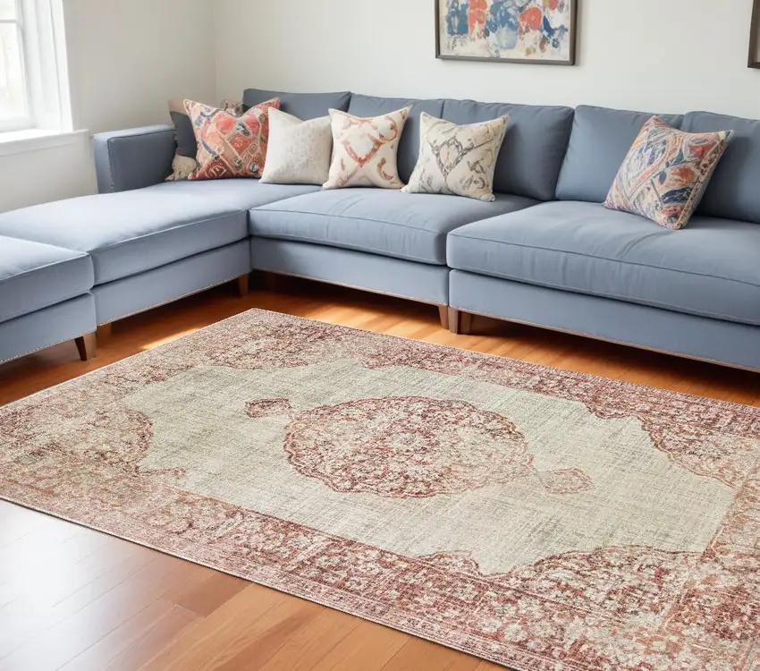 Ivory And Pink Medallion Area Rug Photo 1