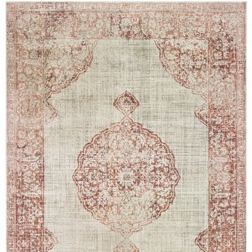 Ivory and Pink Medallion Area Rug Photo 5
