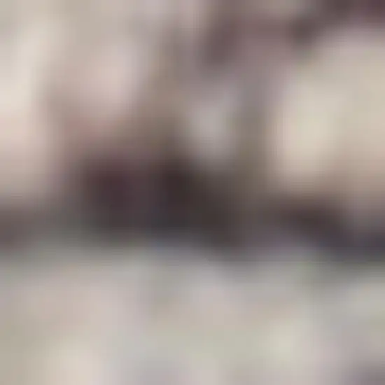 Ivory and Tan Floral Power Loom Distressed Washable Area Rug Photo 3