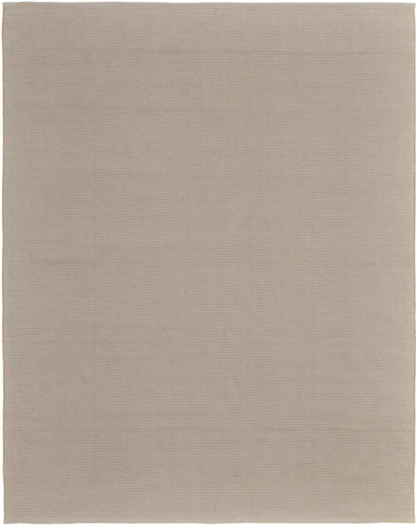 Ivory and Tan Hand Woven Area Rug Photo 5