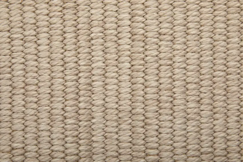 Ivory and Tan Hand Woven Area Rug Photo 9